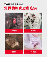 將圖片載入圖庫檢視器 PETOMAMAN 犬用皮膚保健營養品