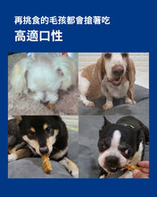 將圖片載入圖庫檢視器 PETOMAMAN 犬用固齒潔牙口香糖