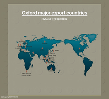 將圖片載入圖庫檢視器 PEACEMINUSONE 聯名限量積木系列「GD 818 BLOOM」