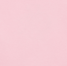 將圖片載入圖庫檢視器 CITYBREEZE 短版LogoT恤 ((G)IDLE曹薇娟同款) (3色可選_白色/黑色/粉色)