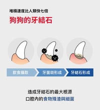將圖片載入圖庫檢視器 PETOMAMAN 犬用固齒潔牙口香糖