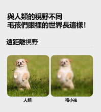 將圖片載入圖庫檢視器 PETOMAMAN 犬用眼睛保健營養品