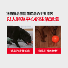 將圖片載入圖庫檢視器 PETOMAMAN 犬用關節保健營養品