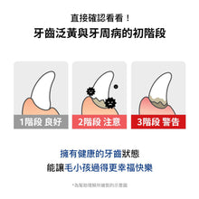 將圖片載入圖庫檢視器 PETOMAMAN 犬用固齒潔牙口香糖