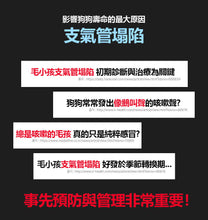 將圖片載入圖庫檢視器 PETOMAMAN 犬用呼吸道保健營養品