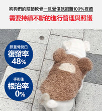 將圖片載入圖庫檢視器 PETOMAMAN 犬用關節保健營養品