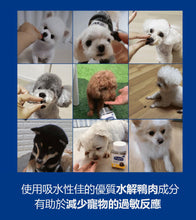 將圖片載入圖庫檢視器 PETOMAMAN 犬用眼睛保健營養品