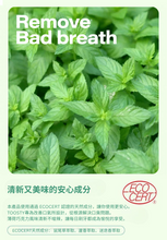 將圖片載入圖庫檢視器 TOOSTY 薄荷巧克力牙膏