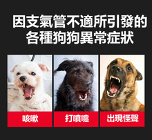 將圖片載入圖庫檢視器 PETOMAMAN 犬用呼吸道保健營養品
