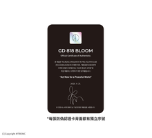 將圖片載入圖庫檢視器 PEACEMINUSONE 聯名限量積木系列「GD 818 BLOOM」
