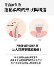 將圖片載入圖庫檢視器 PETOMAMAN 犬用固齒潔牙口香糖
