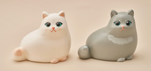 將圖片載入圖庫檢視器 [RADON] 3D Pet Coloring Kit
