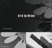 將圖片載入圖庫檢視器 PEACEMINUSONE 聯名限量積木系列「GD 818 BLOOM」
