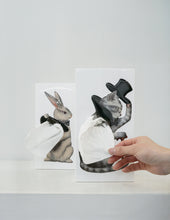 將圖片載入圖庫檢視器 [SPEXTRUM] Tissue Up Tale (Wonder Rabbit)
